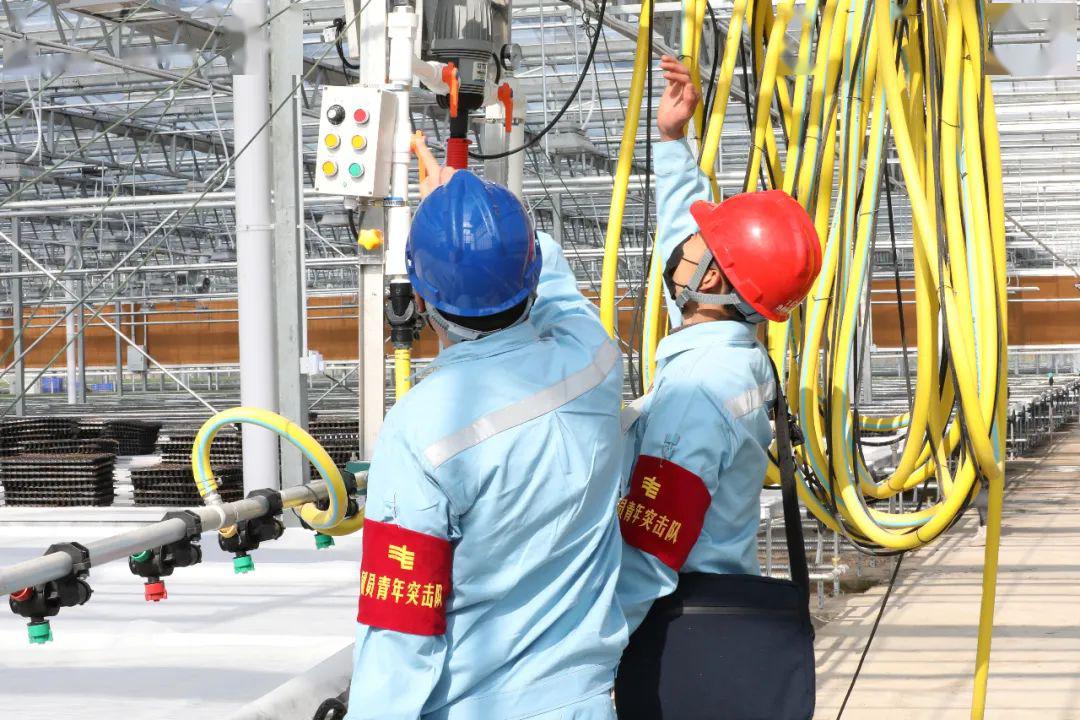 草海機場最新動態(tài)揭秘，建設(shè)進展、航班信息及未來展望