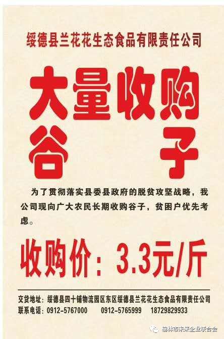 淄川最新財務(wù)招聘，職業(yè)發(fā)展的理想選擇