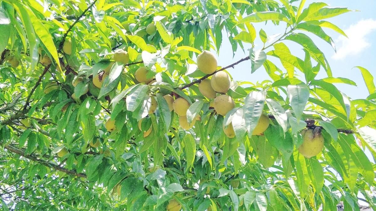 簡暗最新小說揭秘科技新品，智能生活體驗(yàn)新紀(jì)元