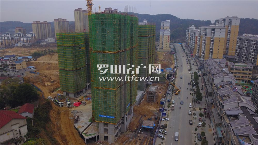 羅田最新房?jī)r(jià)揭秘，洞悉市場(chǎng)動(dòng)態(tài)，掌握房?jī)r(jià)走勢(shì)！