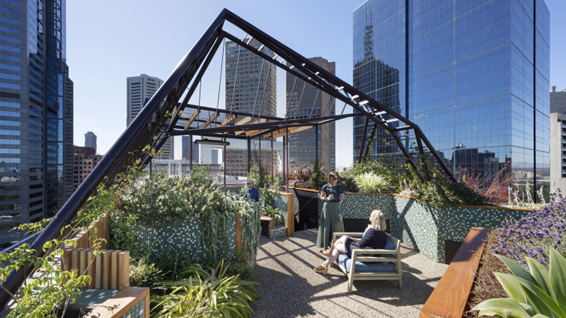 最新樓頂花園設(shè)計(jì)與展示，綠意盎然，繁花似錦的空中花園體驗(yàn)