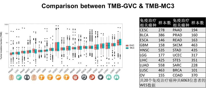王中王375959cm開獎結(jié)果,數(shù)據(jù)驅(qū)動決策_SLF27.152融合版
