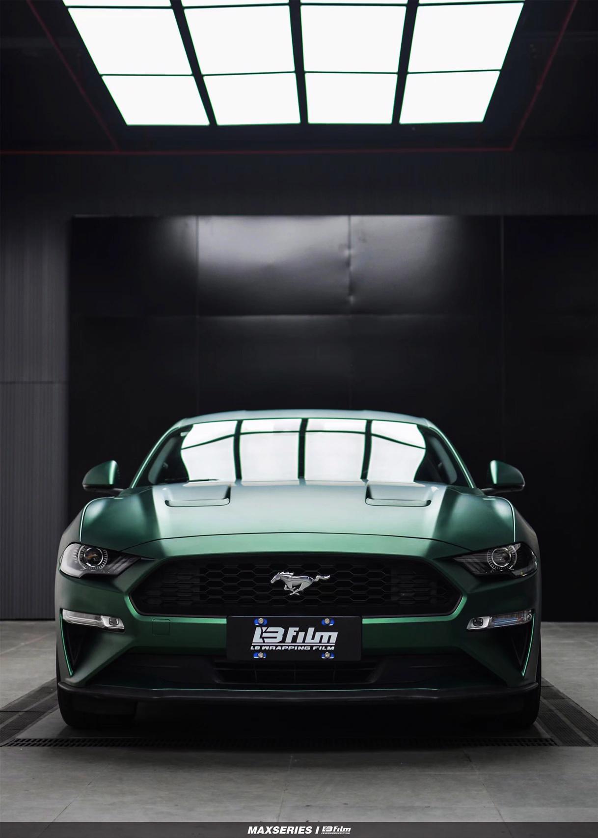 最新野馬汽車，技術(shù)革新與市場競爭的展現(xiàn)