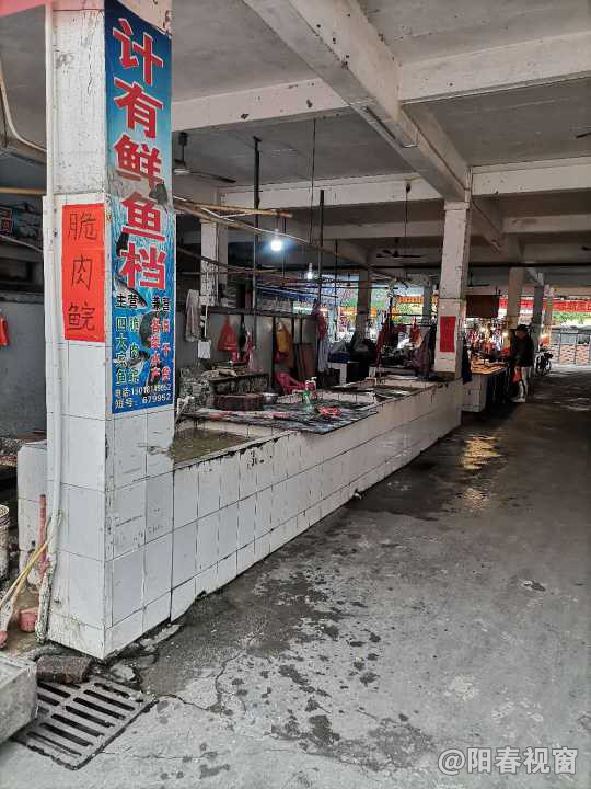 最新魚檔轉(zhuǎn)讓，把握商機(jī)，輕松開啟水產(chǎn)養(yǎng)殖事業(yè)之路