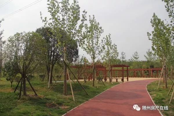 隨州桃園公園最新動態(tài)揭秘，驚喜連連，不容錯過！