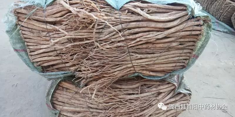 渭源黨參干貨最新價(jià)格及獲取指南，了解黨參干貨價(jià)格走勢(shì)與行情分析
