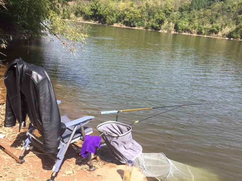 山門寺水庫釣魚最新指南，垂釣攻略與技巧分享