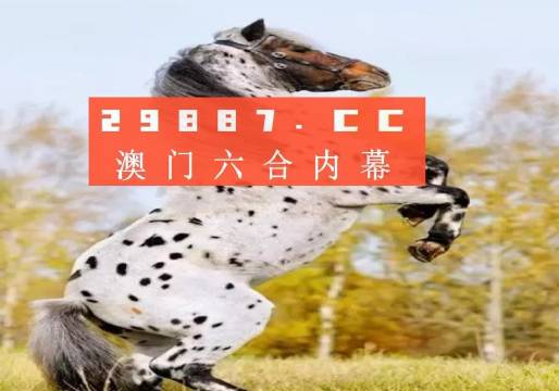 白小姐精準(zhǔn)免費(fèi)四肖,專家意見(jiàn)法案_LTR83.765數(shù)線程版