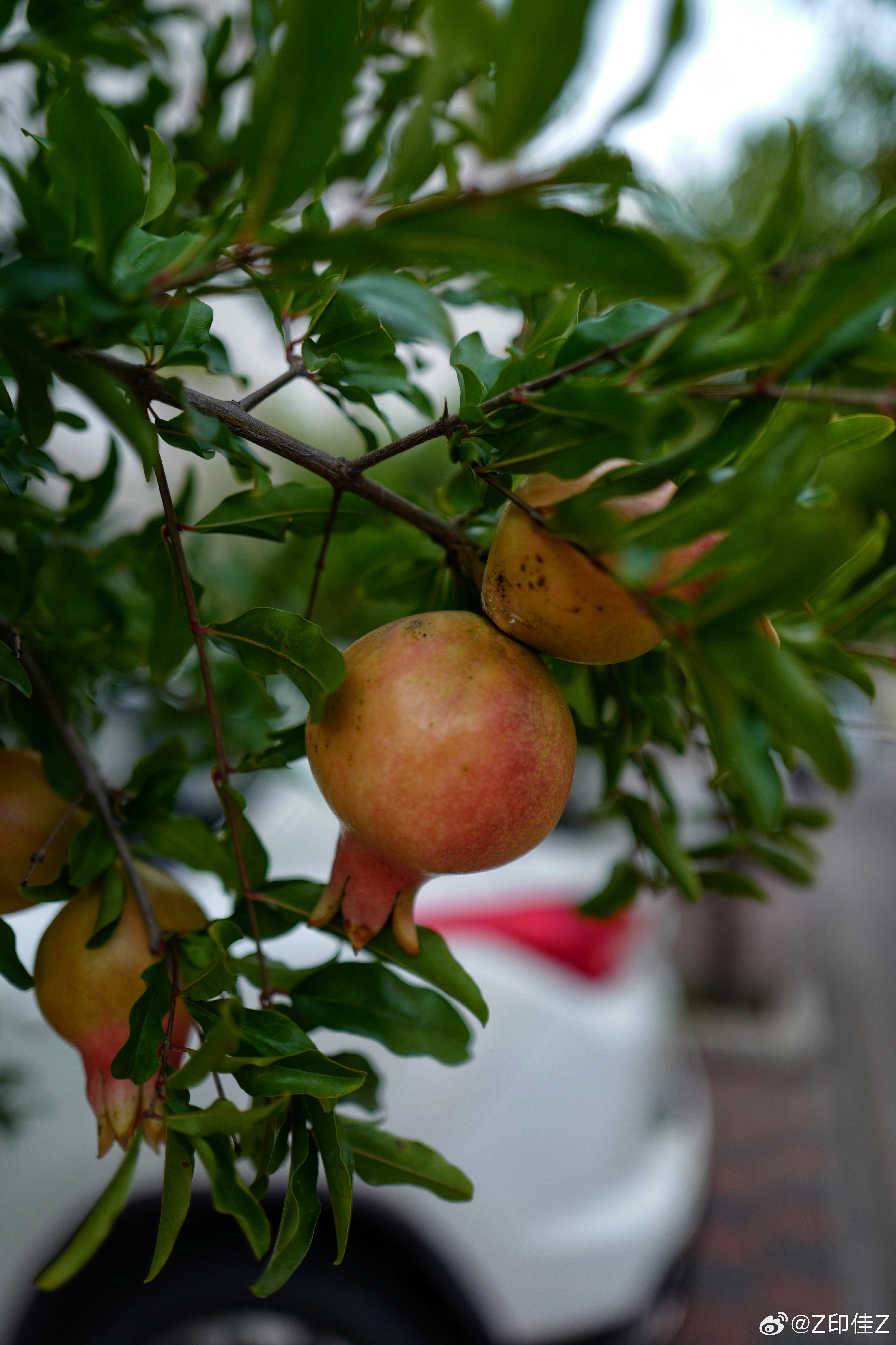 工礦燈具 第293頁(yè)