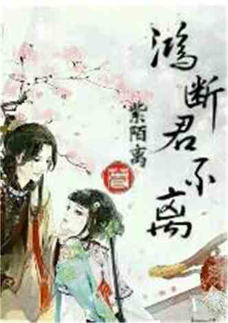 沈南汐最新小說，知識的力量，成就夢想的翅膀之路