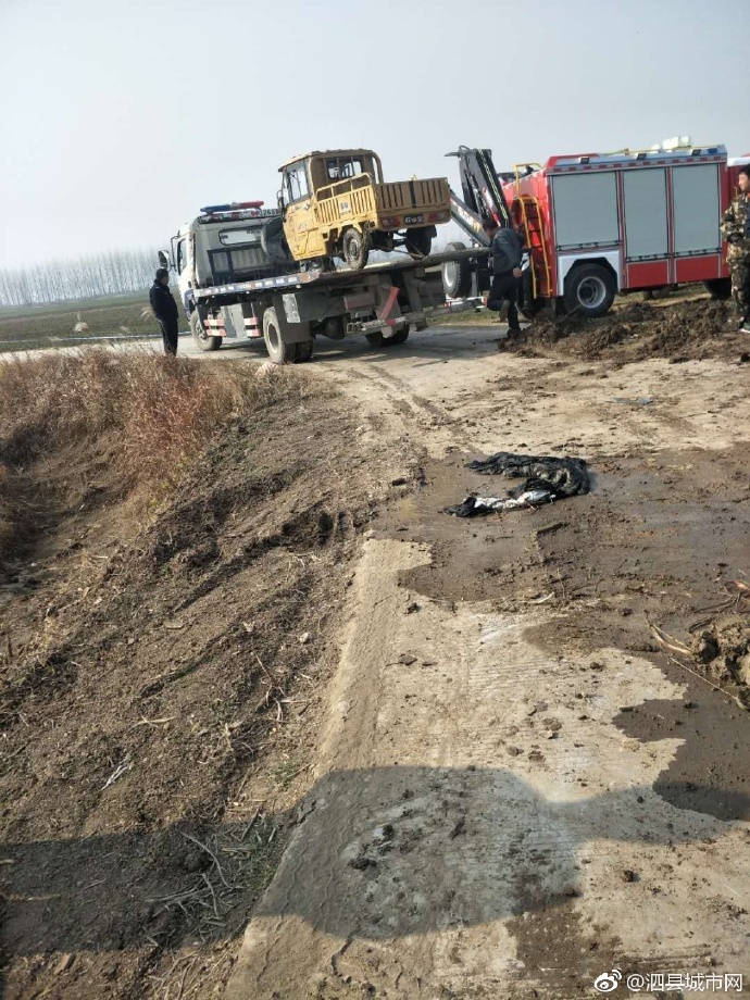 泗縣車禍悲劇，警醒與深思背后的最新新聞報(bào)道