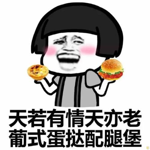 小巷深處的歡樂小鋪，最新幽默搞笑圖片大放送