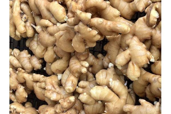 昌邑生姜市場最新價(jià)格指南，全面了解生姜市場行情與價(jià)格動(dòng)態(tài)