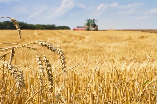 鶴壁小麥最新行情，科技引領農業(yè)新時代，市場智能體驗新篇章