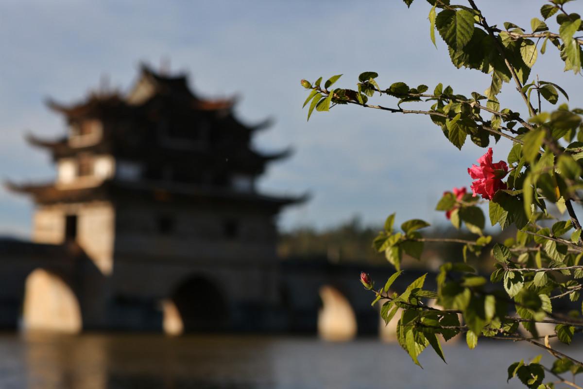 大冰最新力作，智能生活新紀(jì)元——科技與生活的完美融合