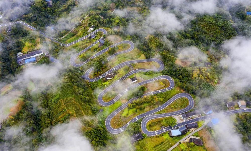 奉節(jié)云霧鄉(xiāng)的最新動態(tài)與溫馨日常，云霧中的快樂時光