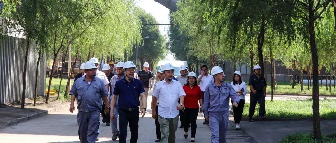 最新鍋爐工招聘信息揭秘，鍋爐工的溫馨日常故事探索