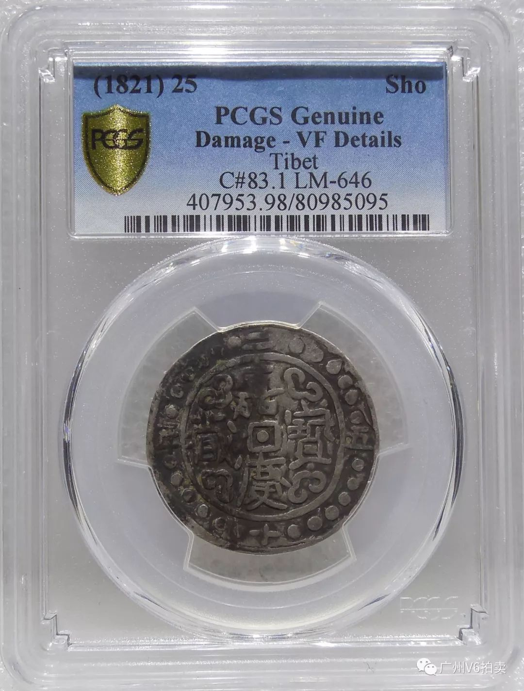 澳門精準(zhǔn)12碼中特,最新研究解讀_遠(yuǎn)光版13.570