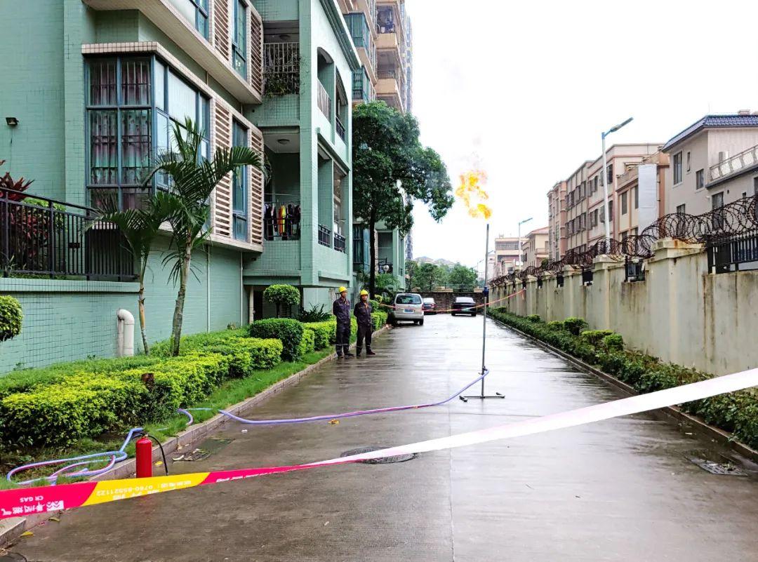 中山東鳳佛奧最新動(dòng)態(tài)，自然美景的探索之旅，尋找內(nèi)心平和與寧靜