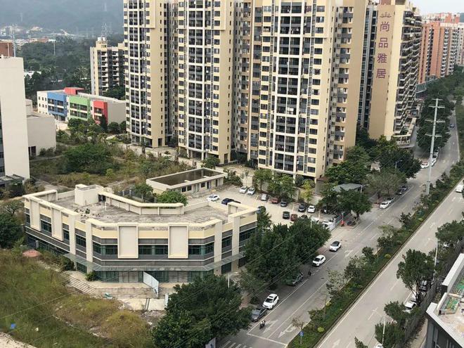 膠南山水雅居最新動態(tài)，鄰里日常趣事與情感紐帶分享