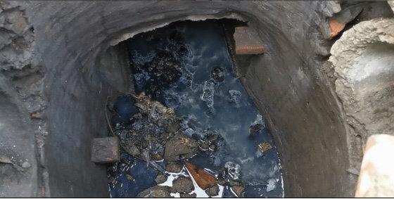 遂寧市電子廠最新招聘，與自然共舞，探尋內(nèi)心寧靜之旅