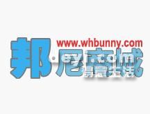 葫蘆島最新營業(yè)員招聘動態(tài)，背景分析與影響探討