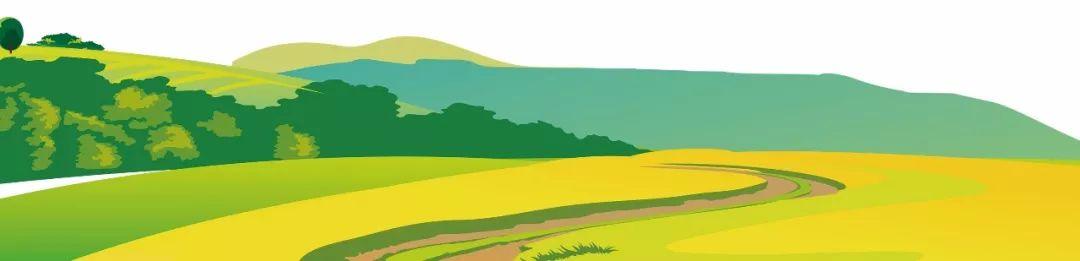 藍(lán)田縣未來藍(lán)圖，最新發(fā)展規(guī)劃揭秘