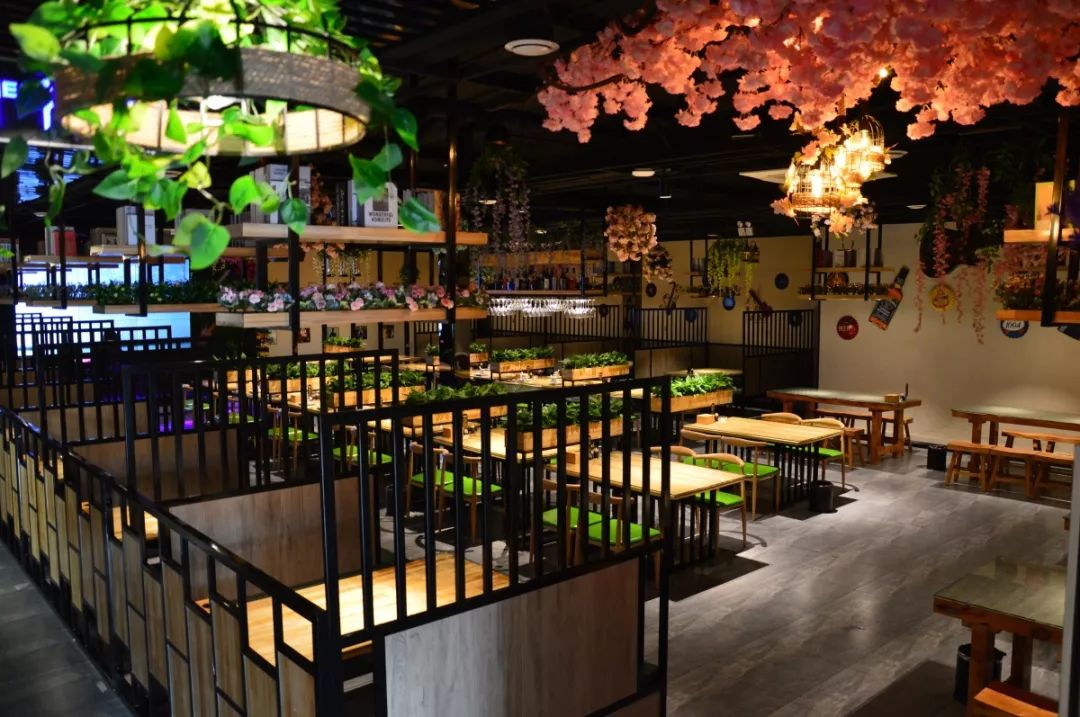 中餐廳最新一期音樂，熱門旋律與節(jié)目魅力的完美交融