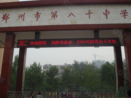 中原區(qū)九龍城最新動態(tài)深度解析，最新進展與觀點闡述