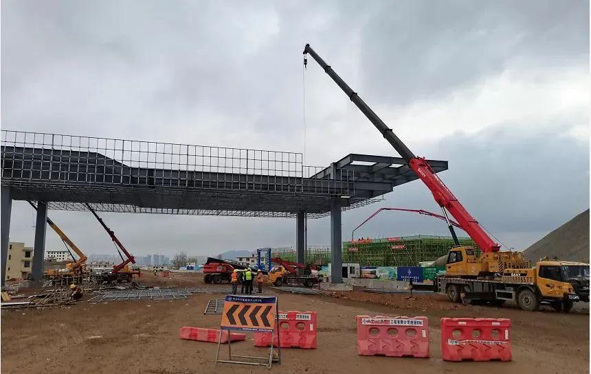 深度解析與探討，最新元龍劇情分析