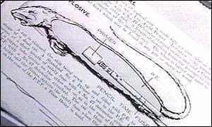 美國填尸最新進(jìn)展，高科技重塑生活，未來科技魅力體驗(yàn)
