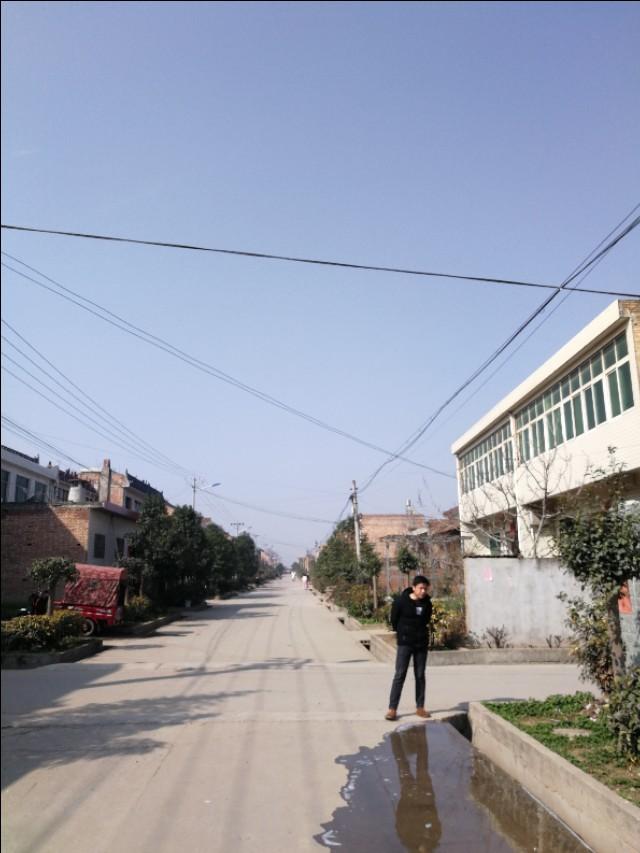 周至縣最新動態(tài)，發(fā)展脈搏與時代步伐的交融進展