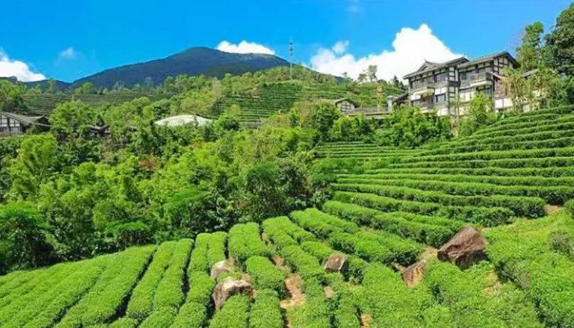 深圳驚喜活動(dòng)溫情之旅，日常中的特別瞬間