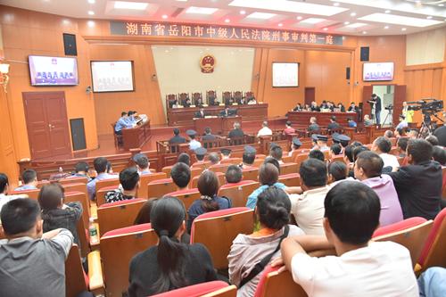 聶祖峰最新探索之旅，自然美景中的心靈尋覓與平和之境