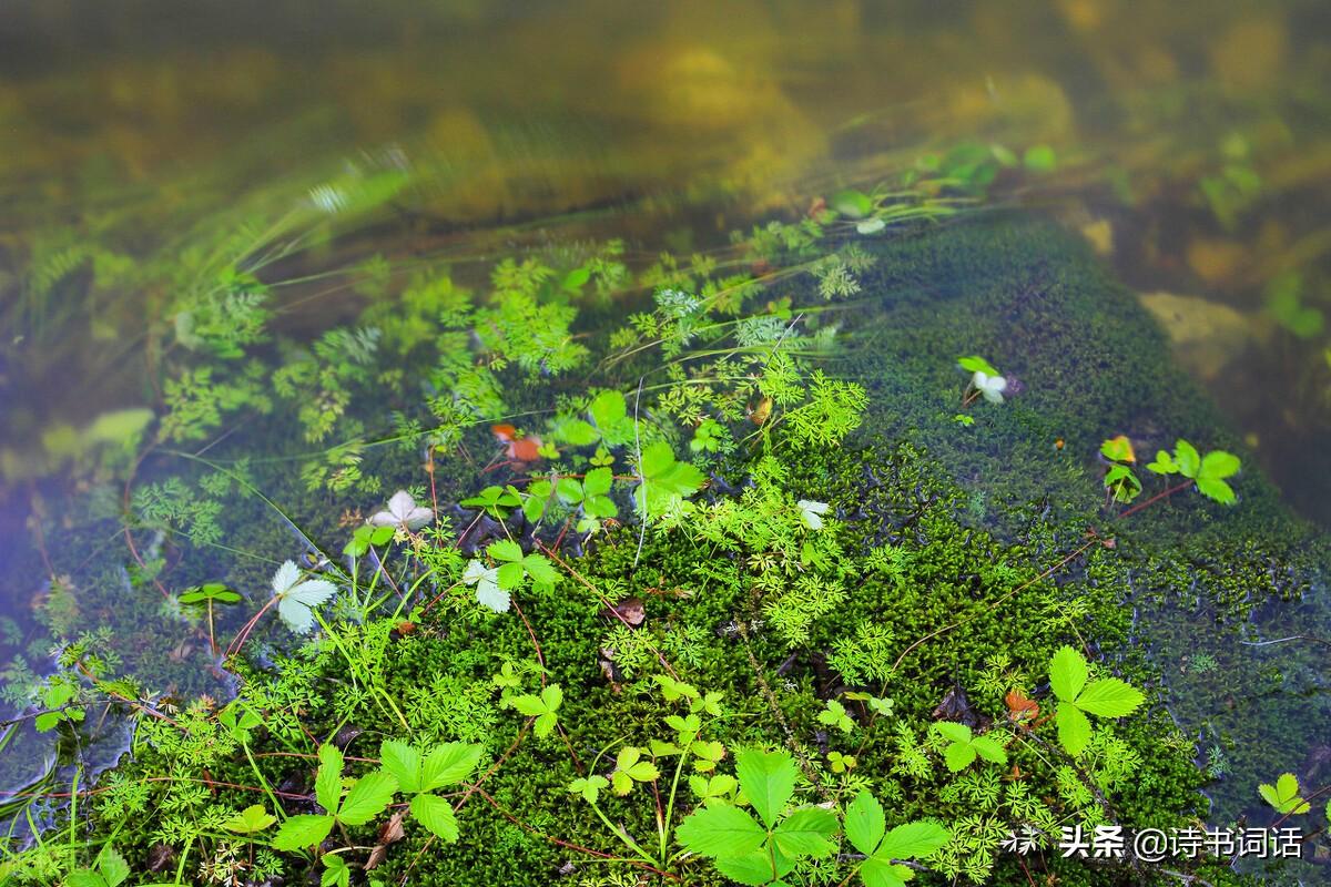 南山高樓崛起，背景、發(fā)展與時代地位全景解析