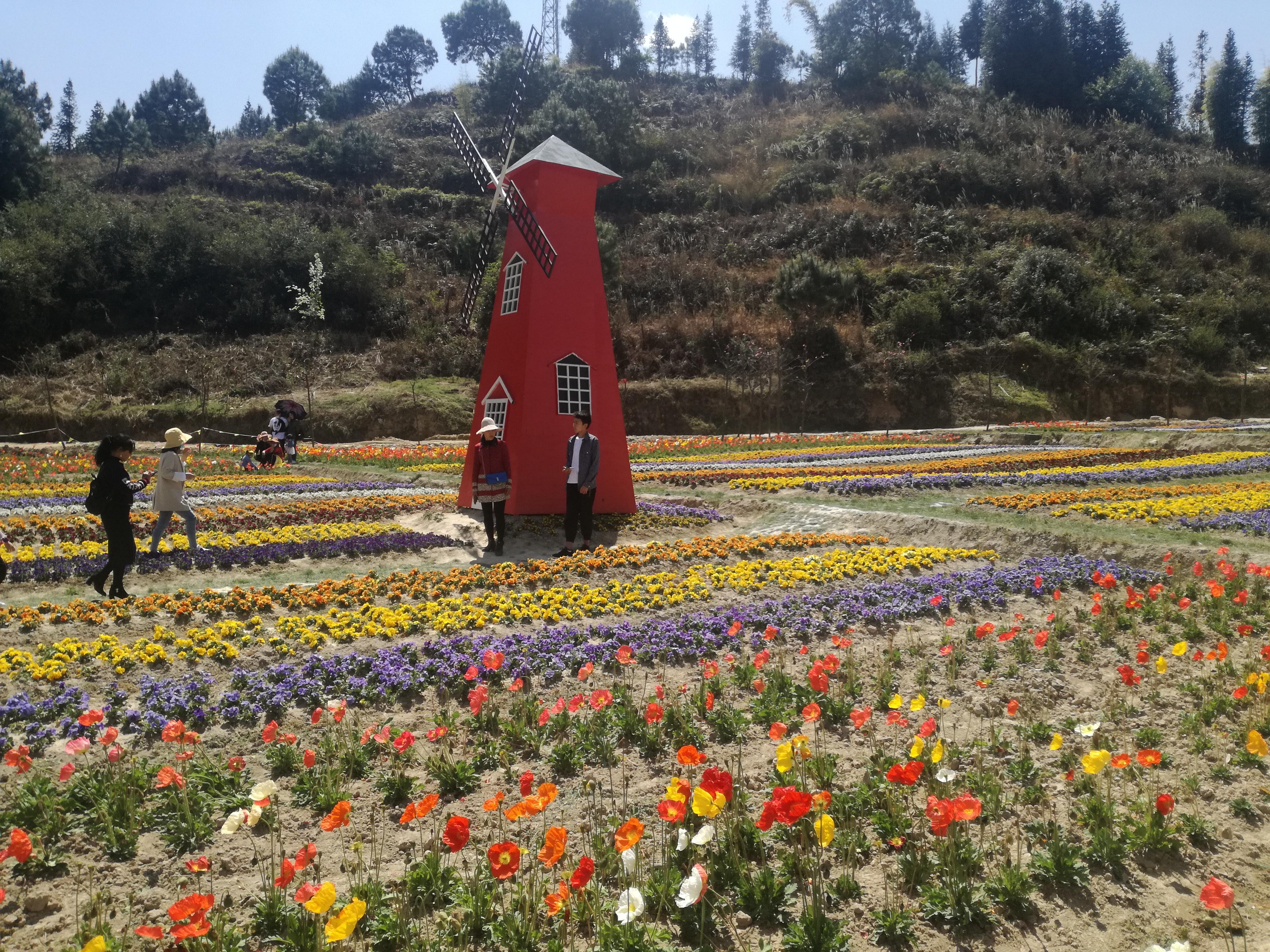 臨滄市最新探索，自然美景之旅，尋找內(nèi)心平和的旅程