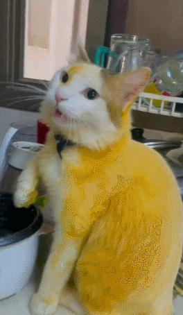 男友最新動態(tài)，科技巔峰之作，引領(lǐng)未來生活新紀(jì)元風(fēng)潮