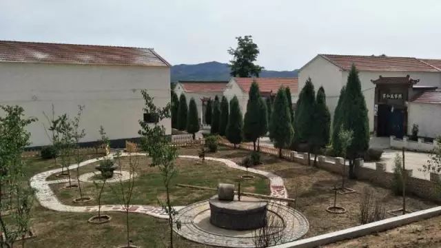 上莊最新動態(tài)，綠意盎然的新居生活????