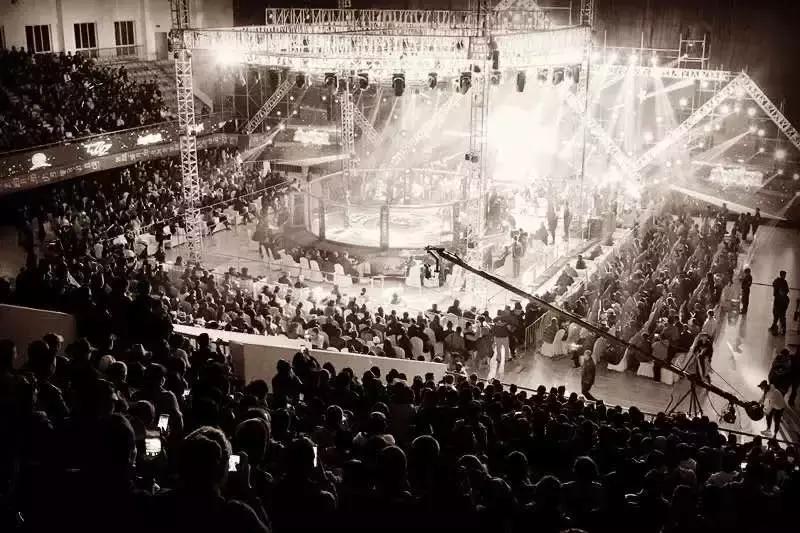 武林籠中對最新一期，自然美景中的對決與內(nèi)心平靜之旅