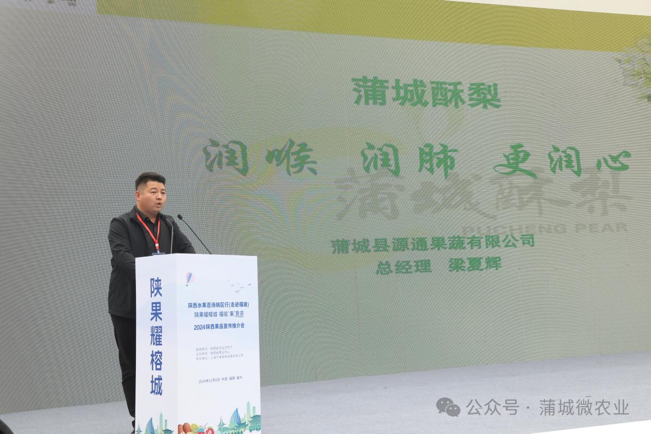 梨城資訊速遞，探索梨城新動態(tài)與發(fā)展趨勢