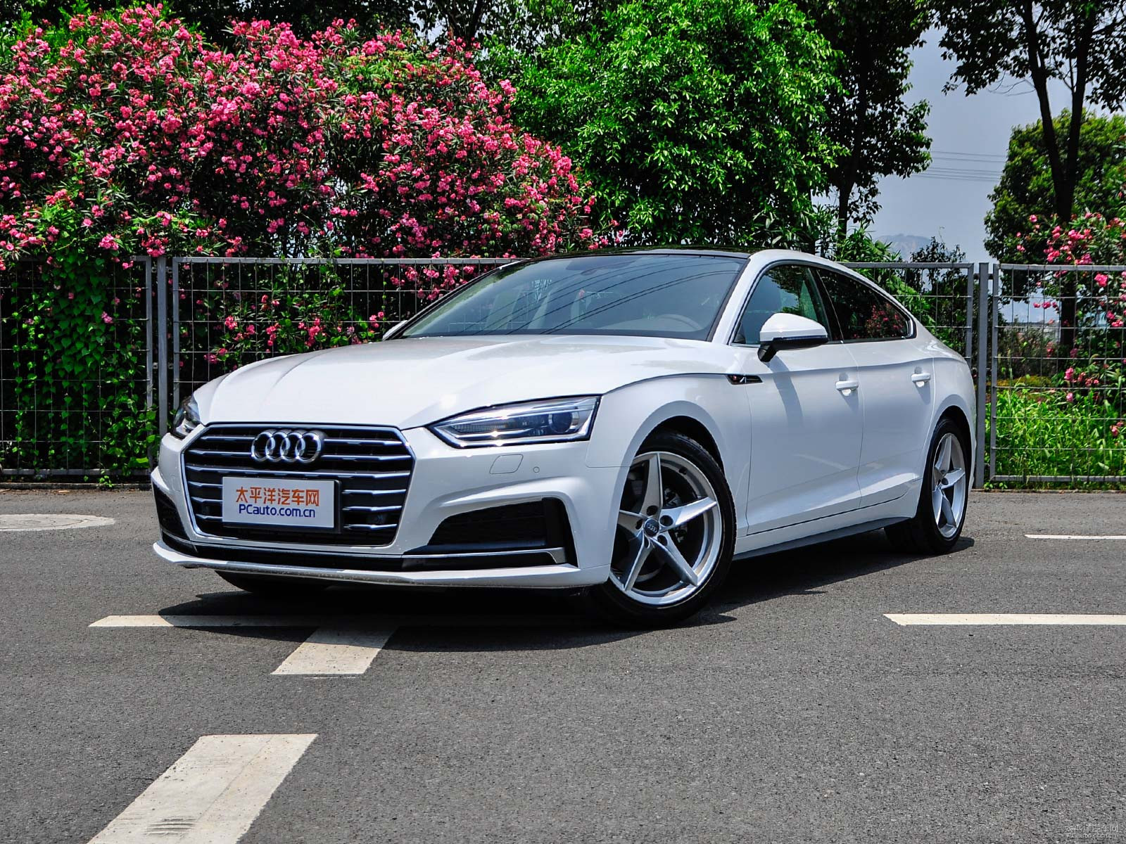 新款?yuàn)W迪A5價(jià)格及圖片，自然美景探索之旅的絕佳選擇