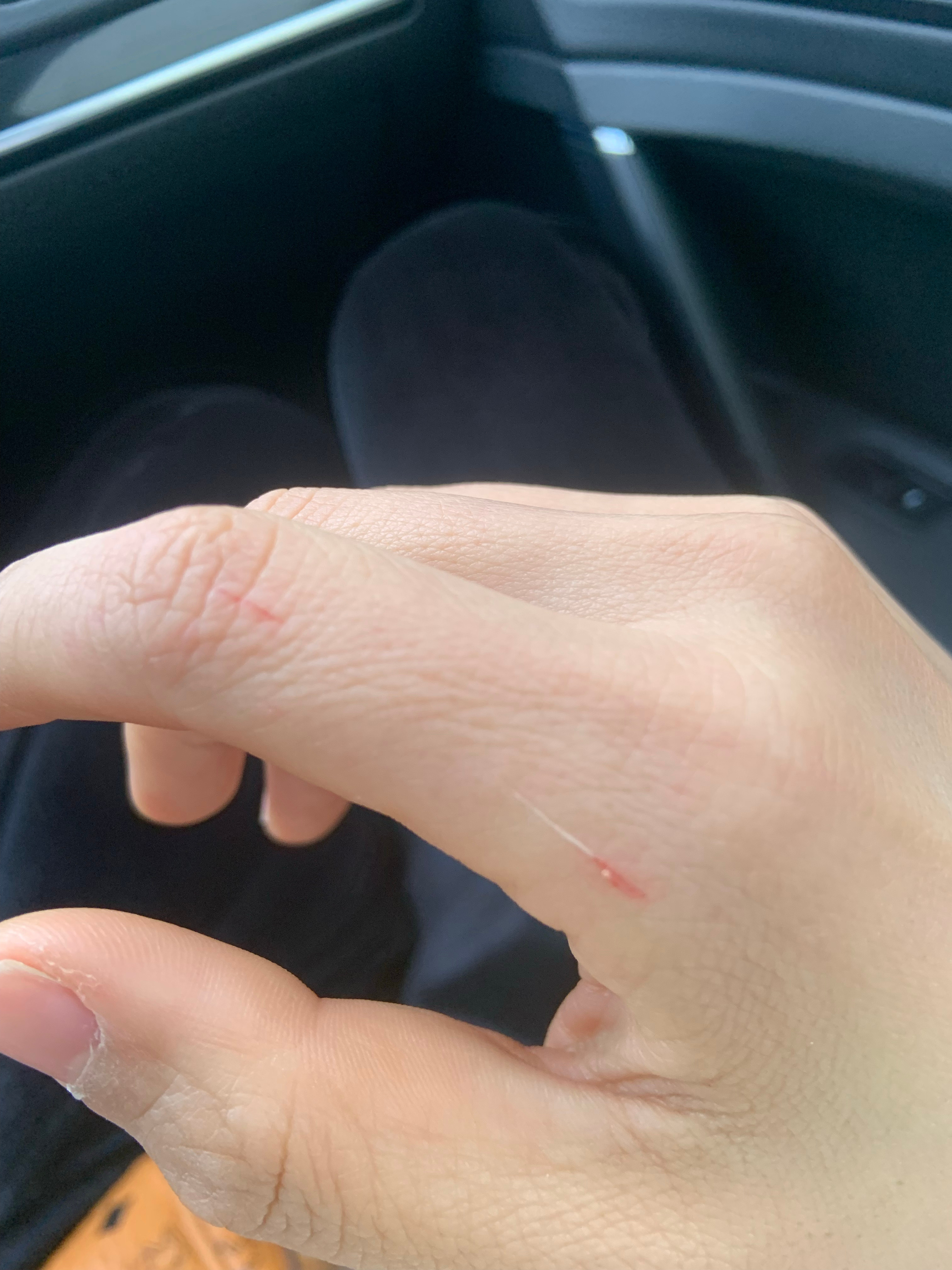 最新口子，開啟學(xué)習(xí)之旅，擁抱變化的力量