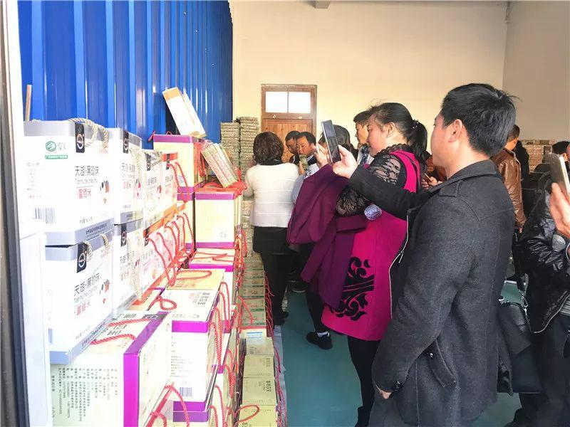 最新職業(yè)資訊，洞悉行業(yè)趨勢與人才需求洞察