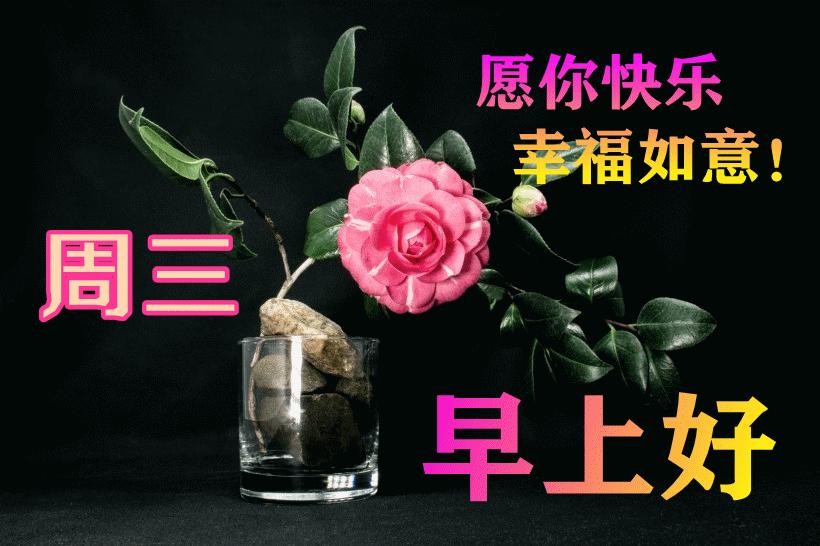 最新早晨問候動態(tài)表情包，溫馨問候，從表情開始！