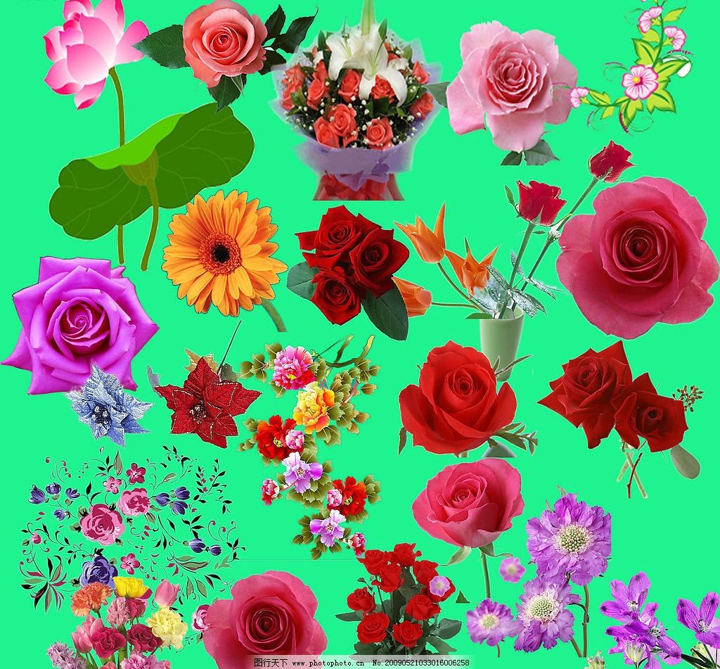 最新花款下載，愛與陪伴的溫馨之旅