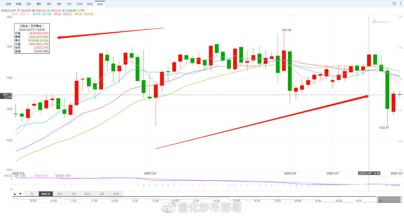 外匯今日行情，市場波動與溫馨故事交織的旅程