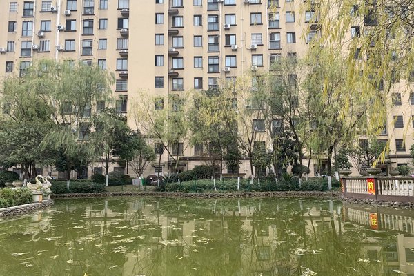 中豪明珠城最新價(jià)格，時代印記與城市的脈動