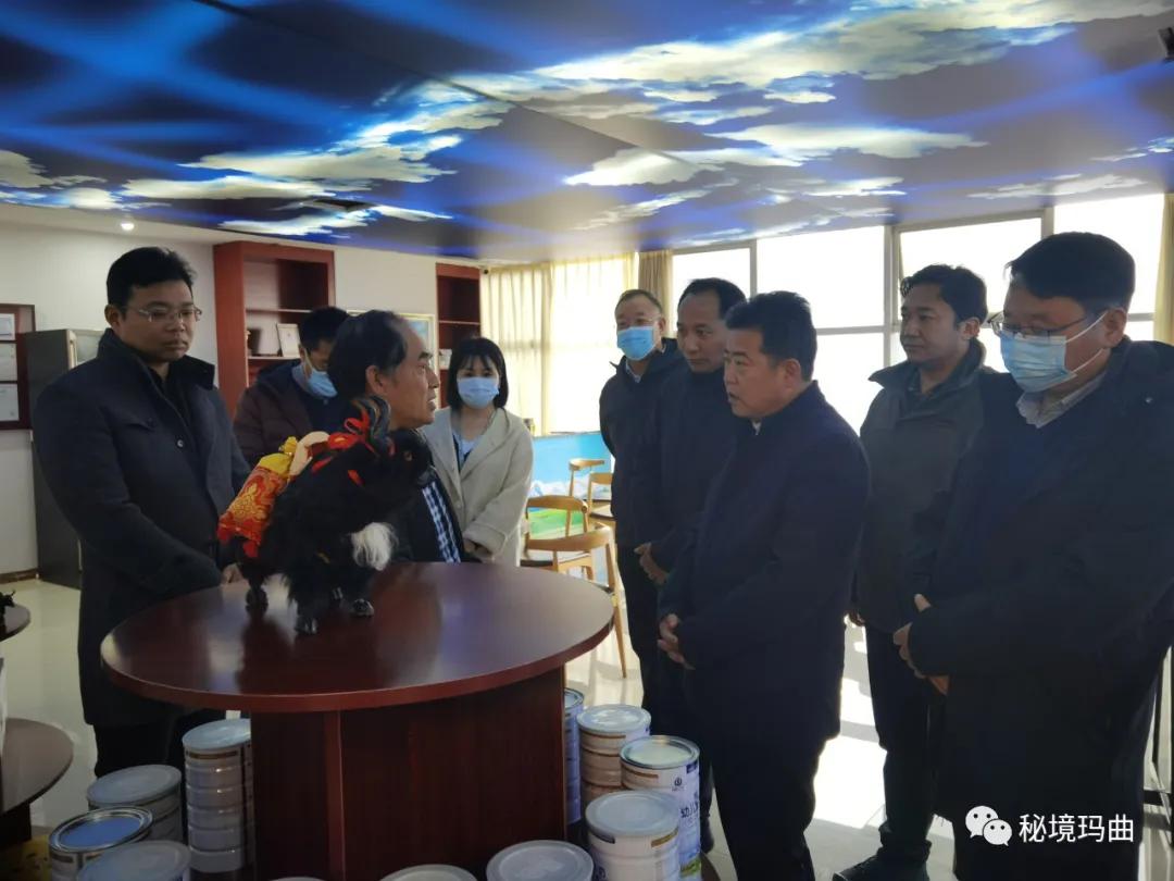 高原之寶上市，學(xué)習(xí)、蛻變與自信的輝煌之旅