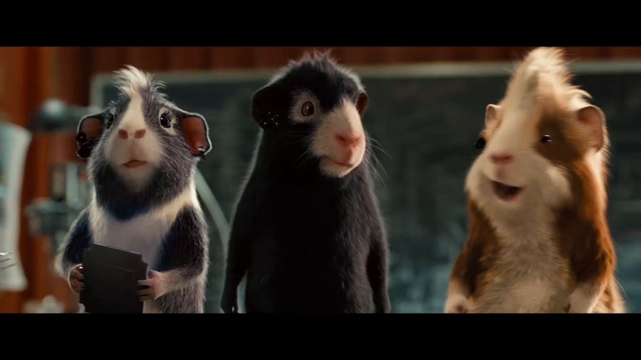 豚鼠電影,豚鼠電影，科技巨獻(xiàn)，重塑觀影體驗