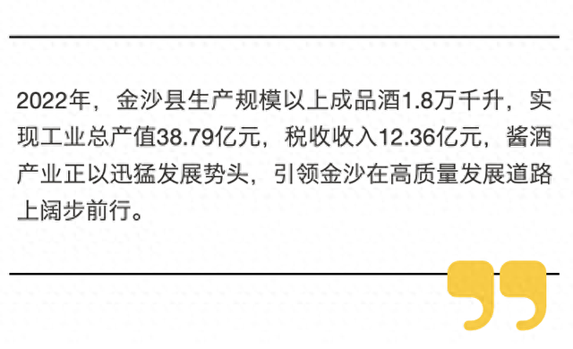 金沙未來(lái)繁榮藍(lán)圖，最新發(fā)展計(jì)劃揭秘